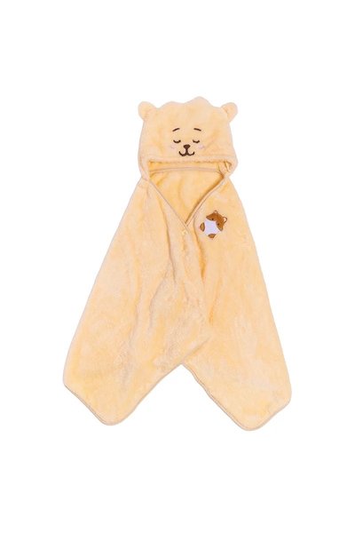 BT21日限毛毯