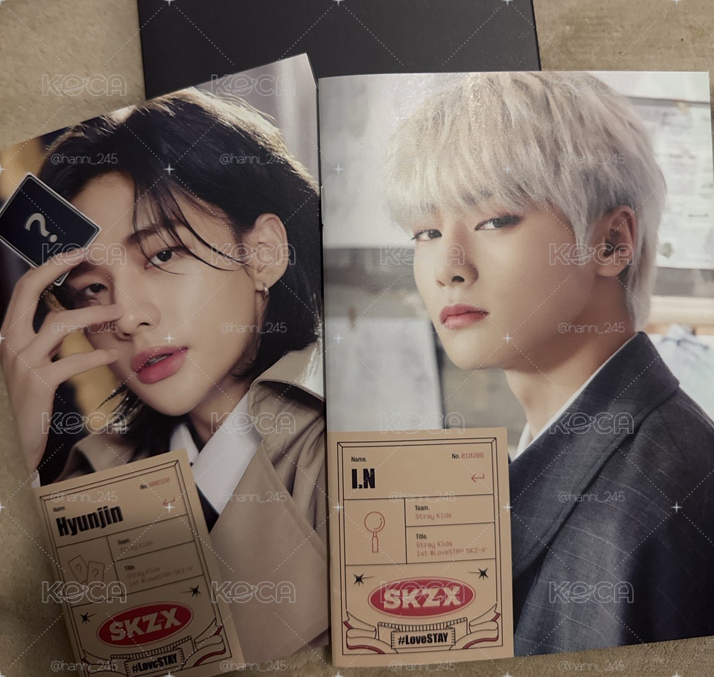 SKZ 辰寅偵探飯咪小寫真