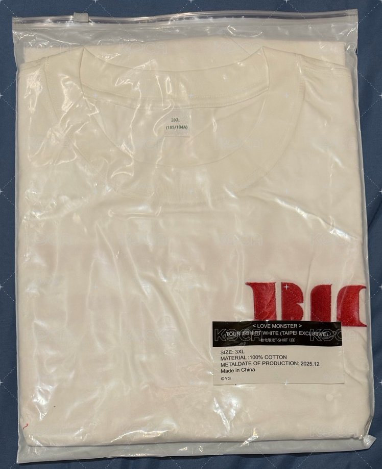台北快閃T-shirt
