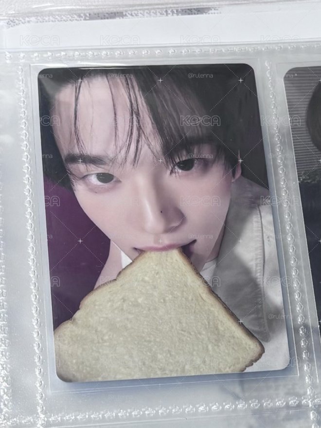 🐽咬吐司