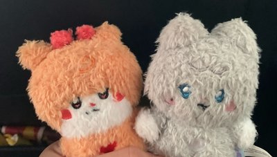 ［代友售］刷+琦 （不拆