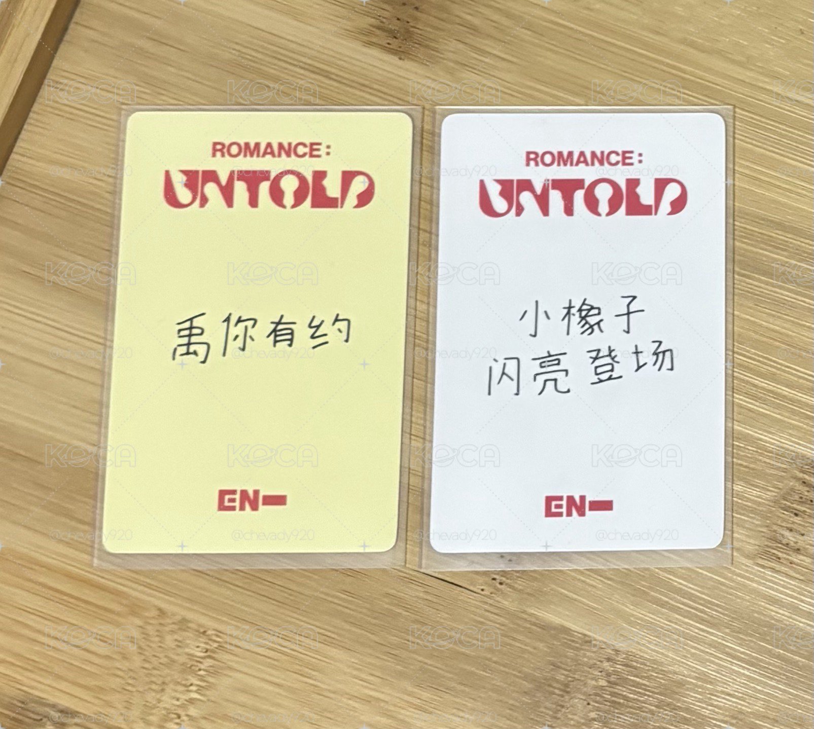 善禹 中文卡背
