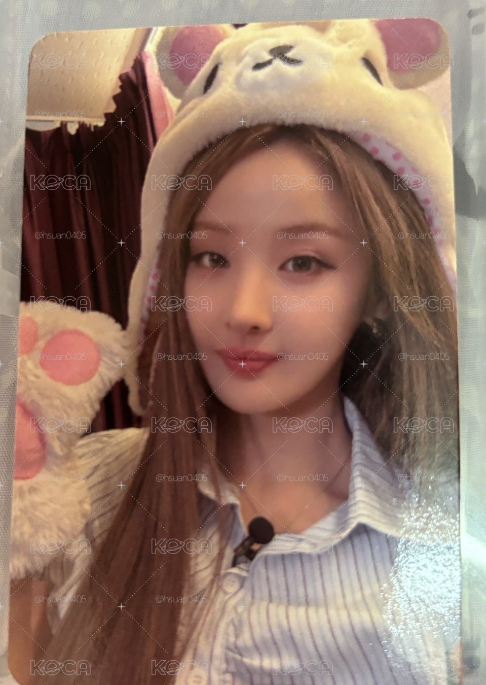 牛奶熊 貝
