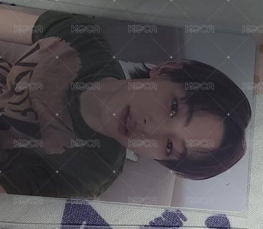 嚴一本專