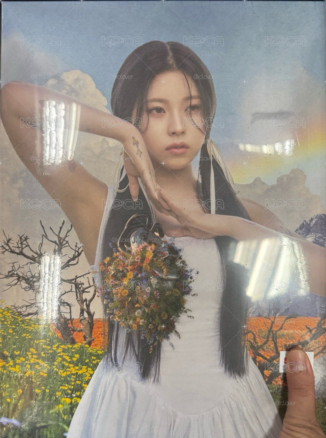 NMIXX 油畫專 圭