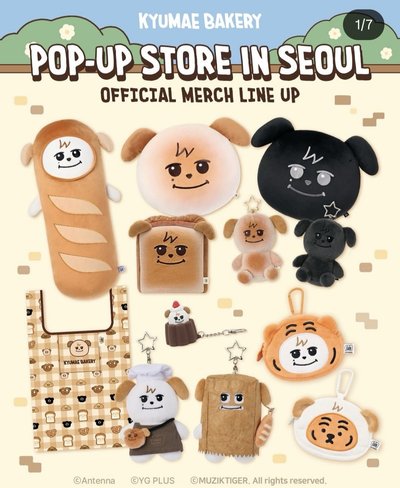 預出 非現貨 圭美快閃店