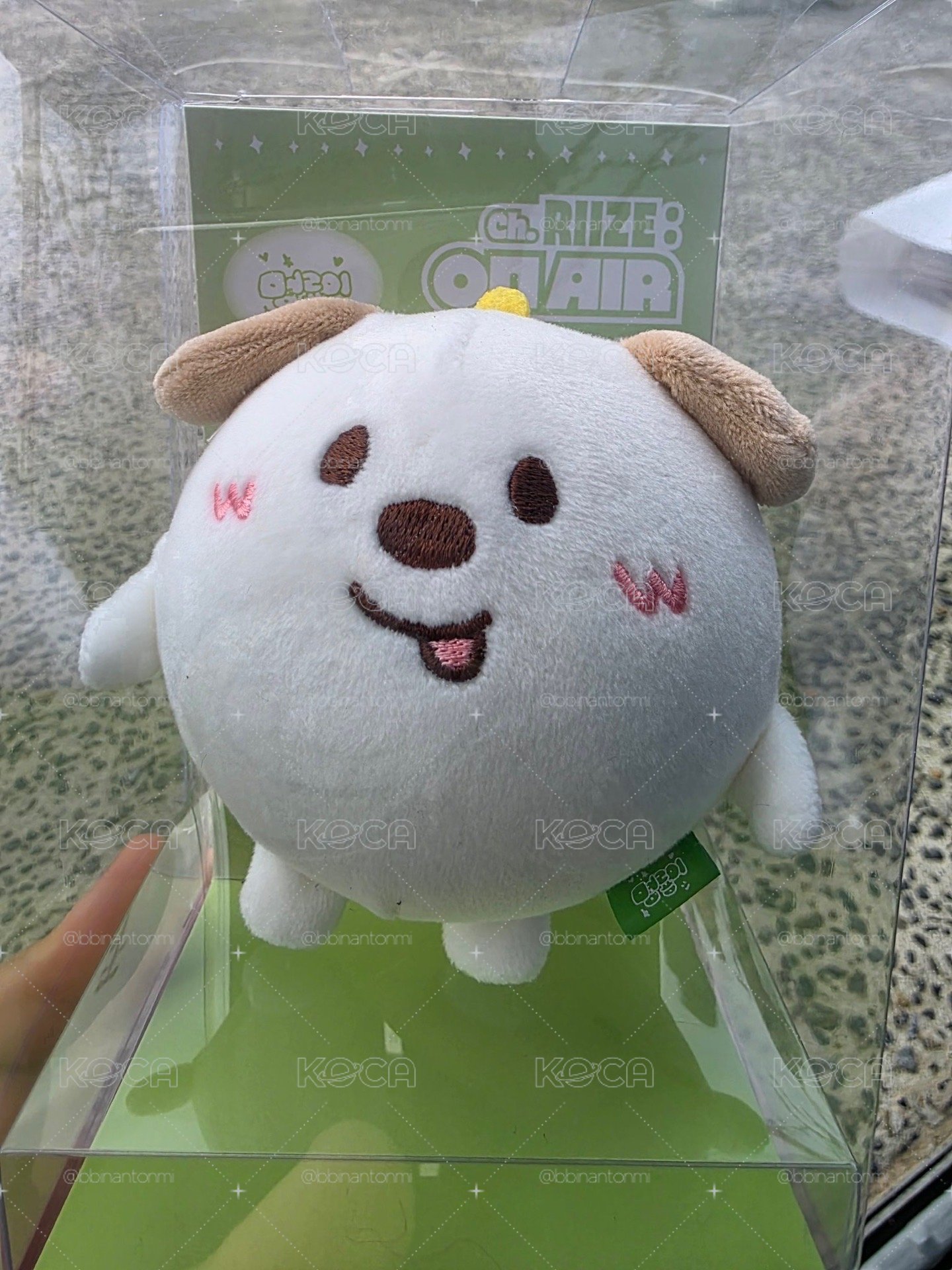 元彬 安東 壓力球 現貨在台