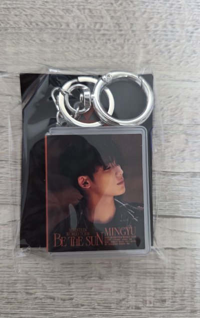 Seventeen Be the sun 奎 扭蛋