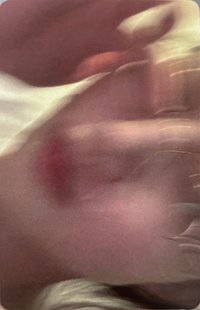 正規一 電子專 專輯卡 Valentine固配生活