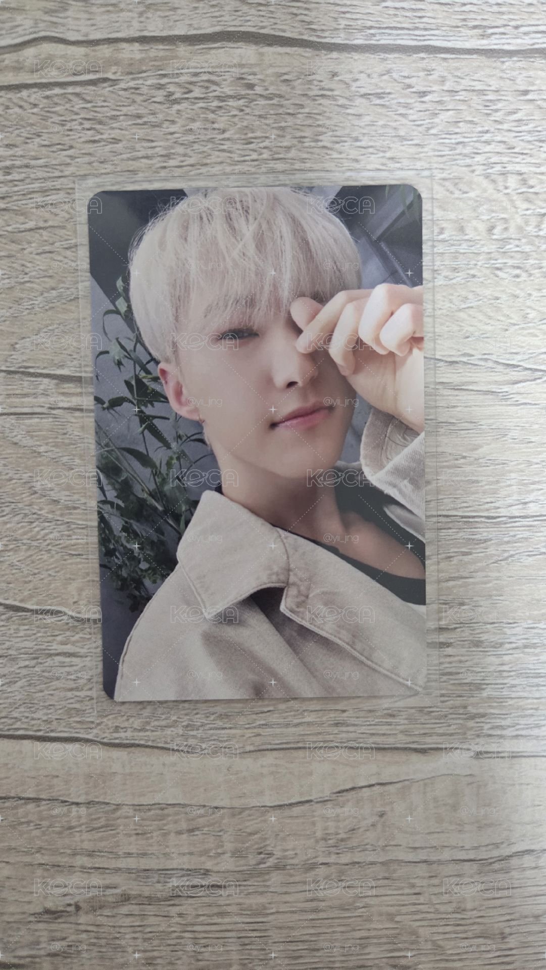 Seventeen Hoshi 消費期限 專卡