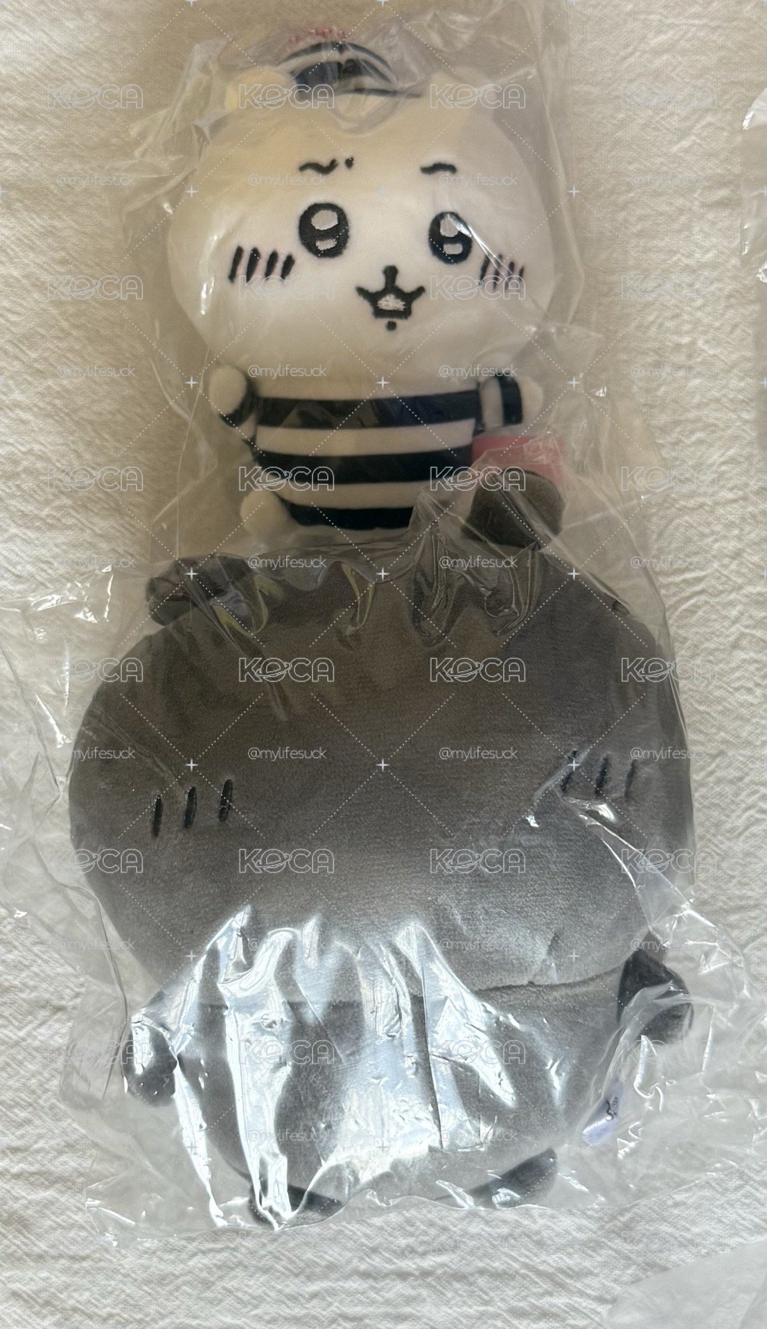 吉伊、古本屋