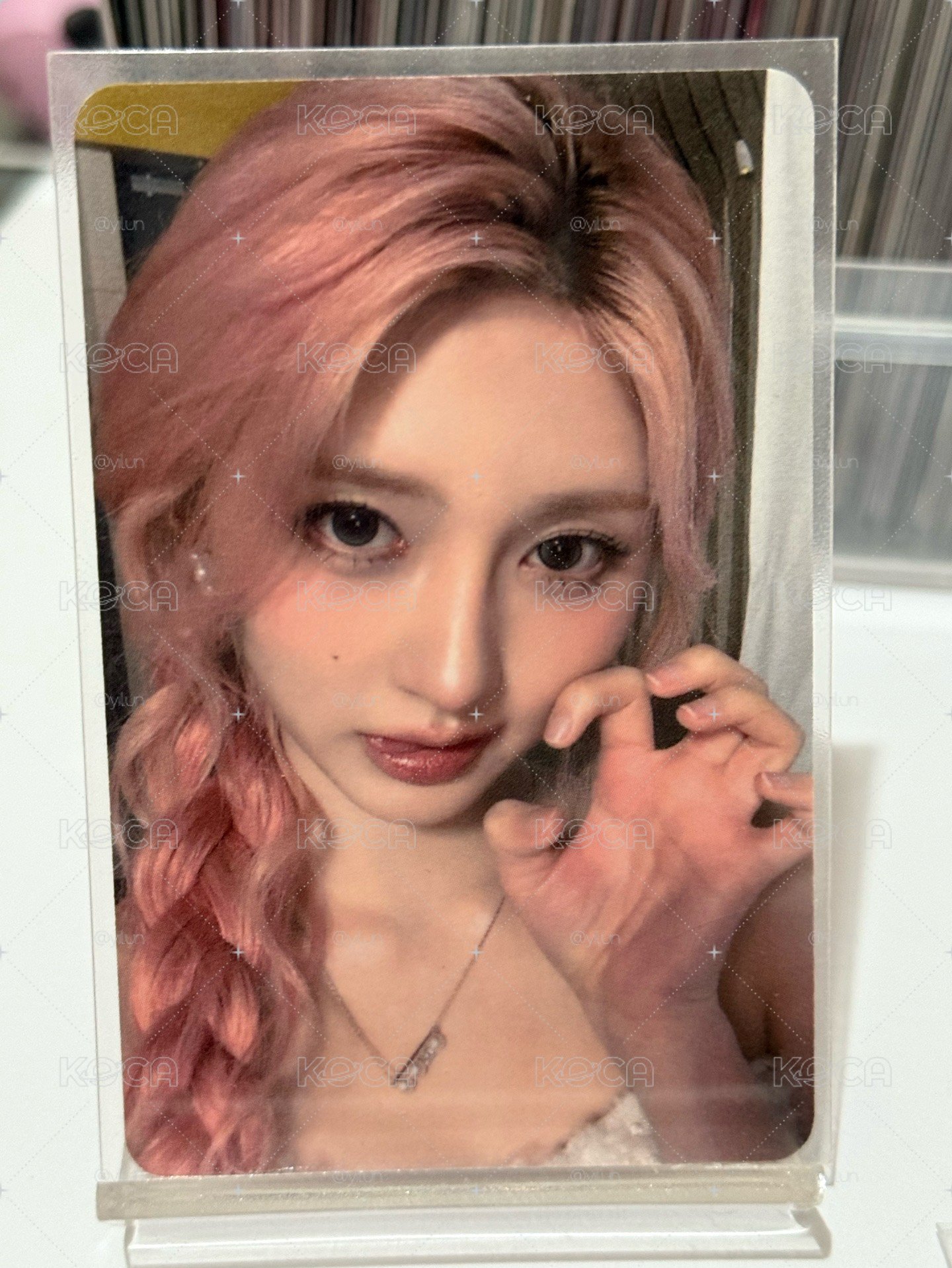 美美秋天
