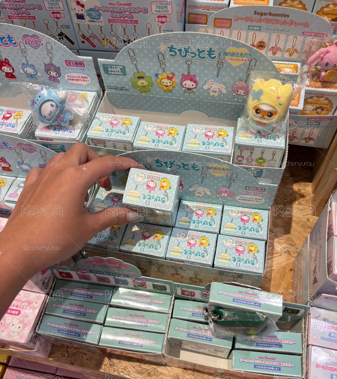 𝐒𝐚𝐧𝐫𝐢𝐨花小兔🌸