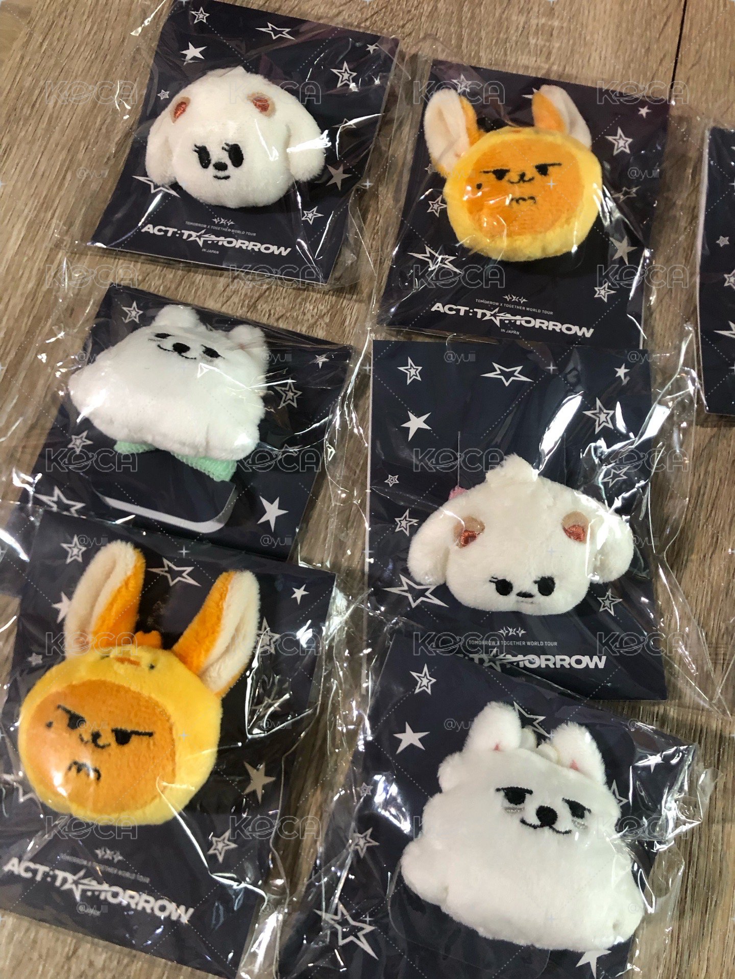 （現貨）TOMORROW 25‘日巡周邊
