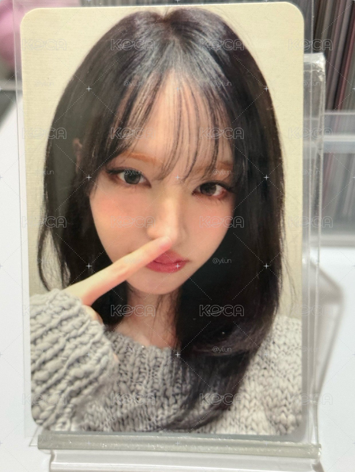 指鼻栗子