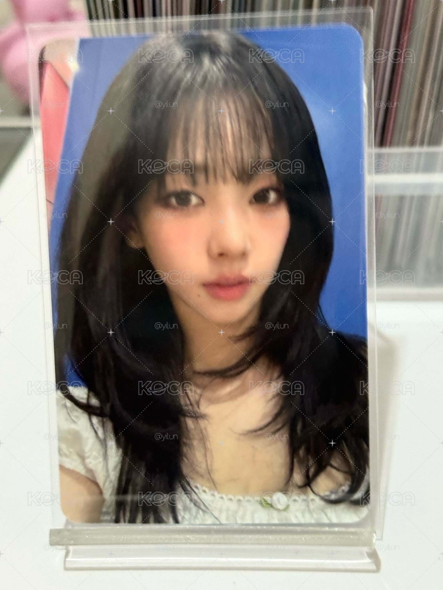 藍底柚子