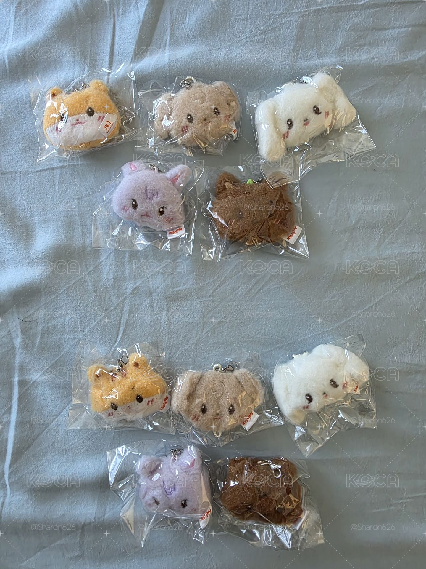 ANITEEZ IN COLOR 鑰匙圈吊飾 LINKABLE FACE KEYRING
