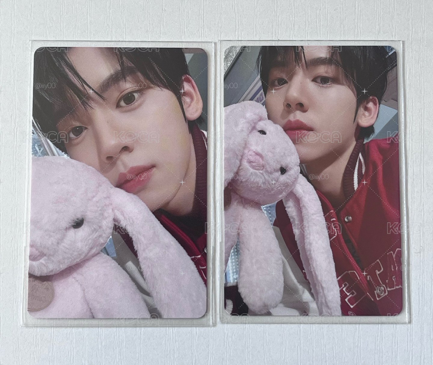 🐰