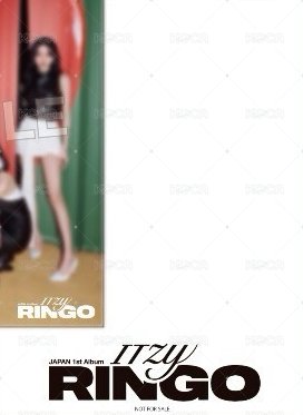 RINGO 日專 正規一 其他通路 特典 明信片 團體 背面