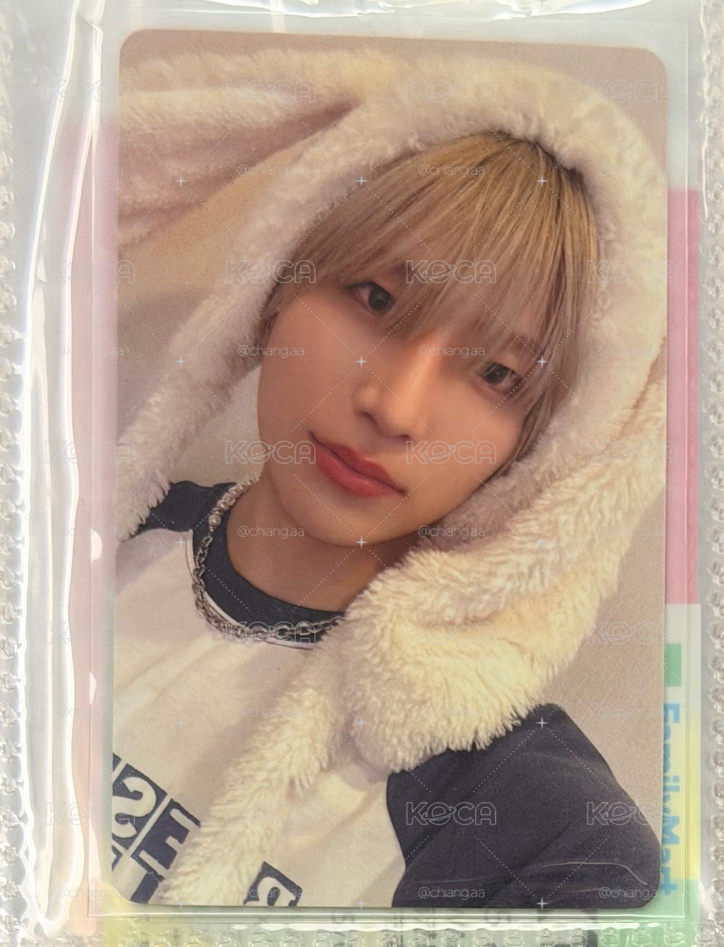 yuma 雪明動物卡