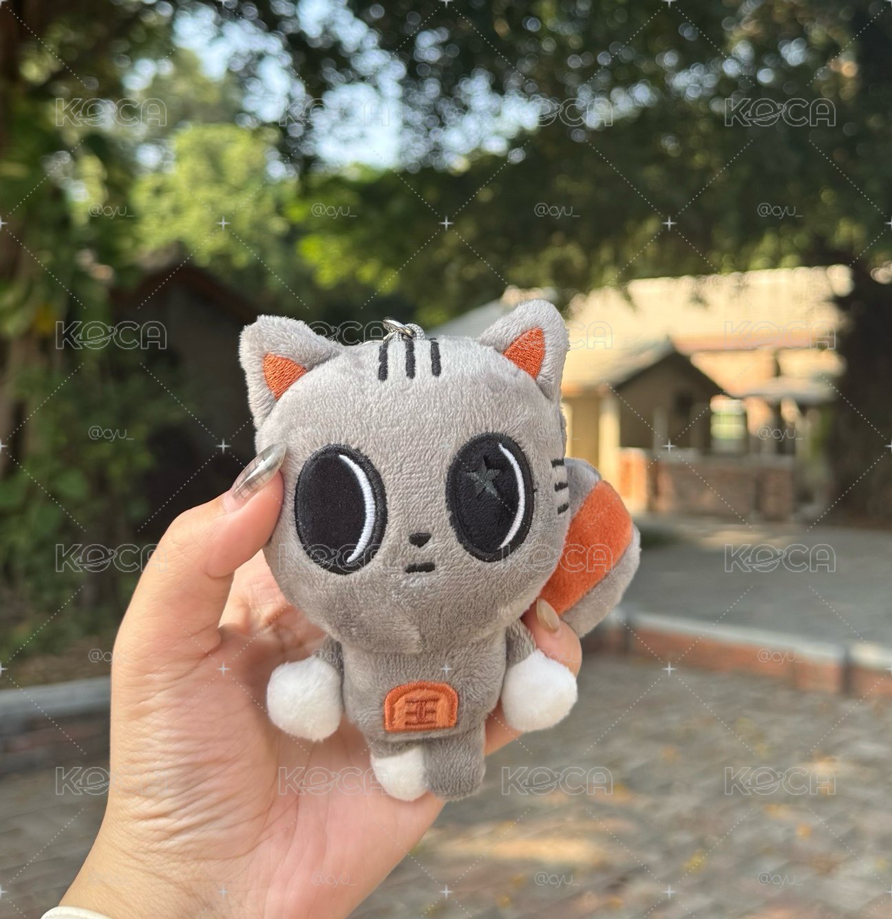 原皮松喵