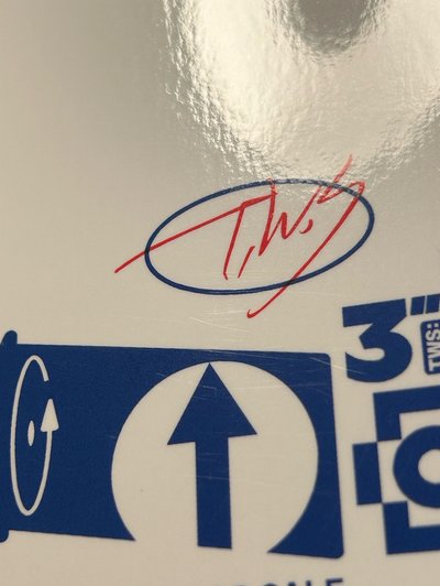 TWS 申惟 樂天