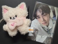 原皮寅