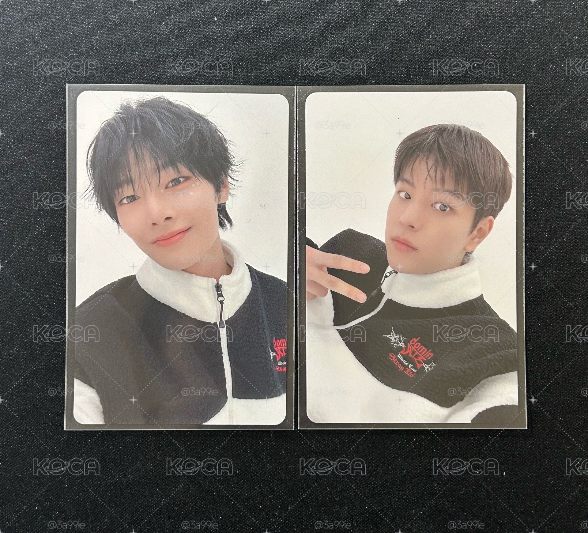 GIANT 11/14 東京場限 玟寅