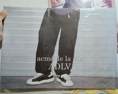 Hoshi ADLV 24FW 代言海報