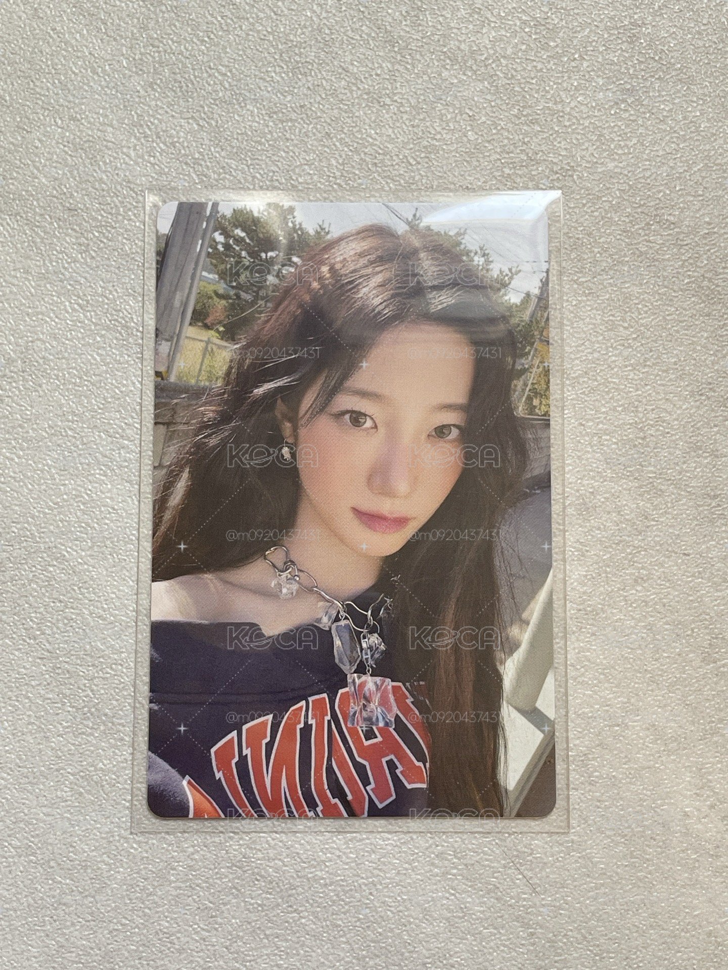 hello82葉