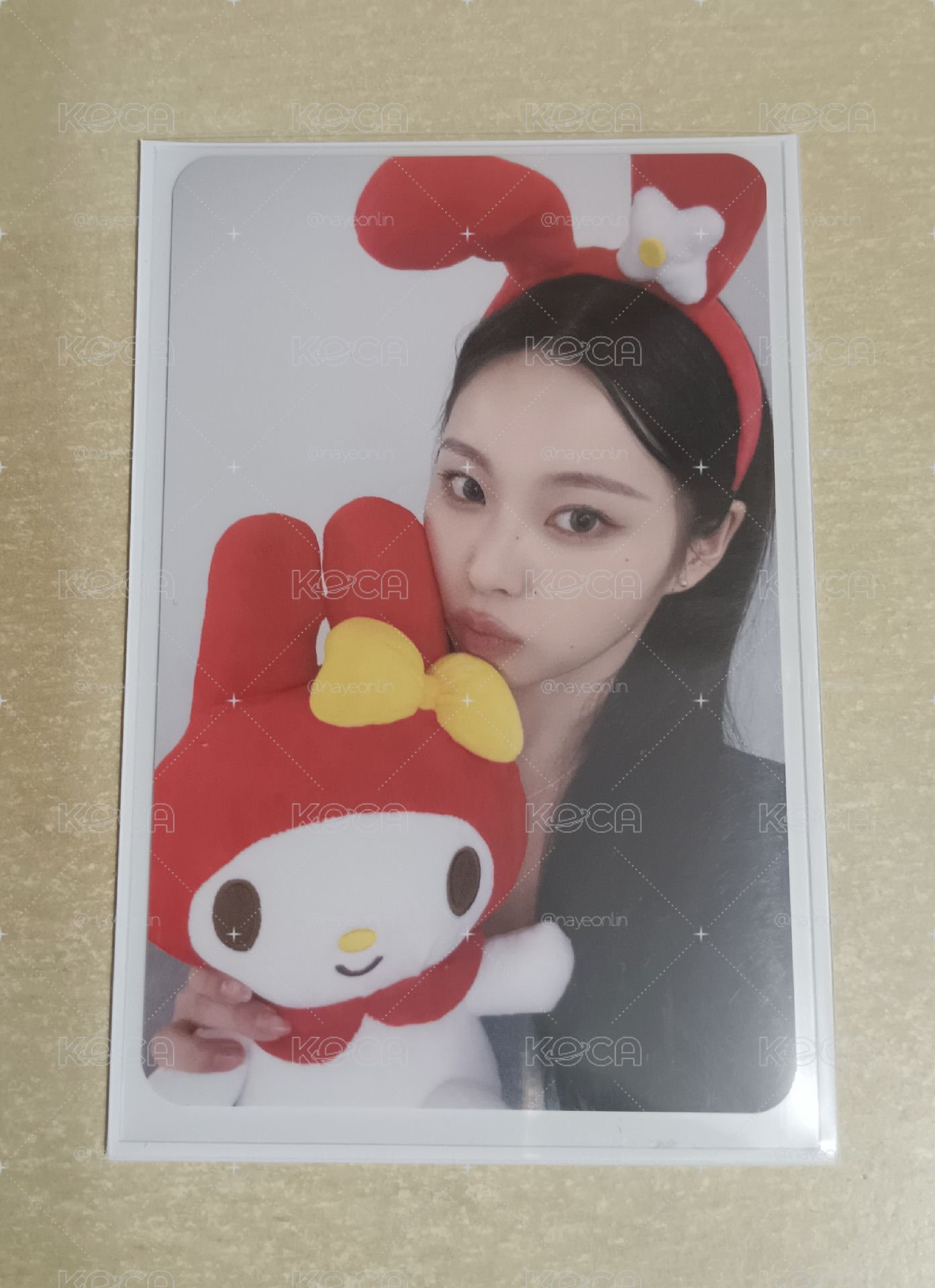 ms兔子角色圭🐰