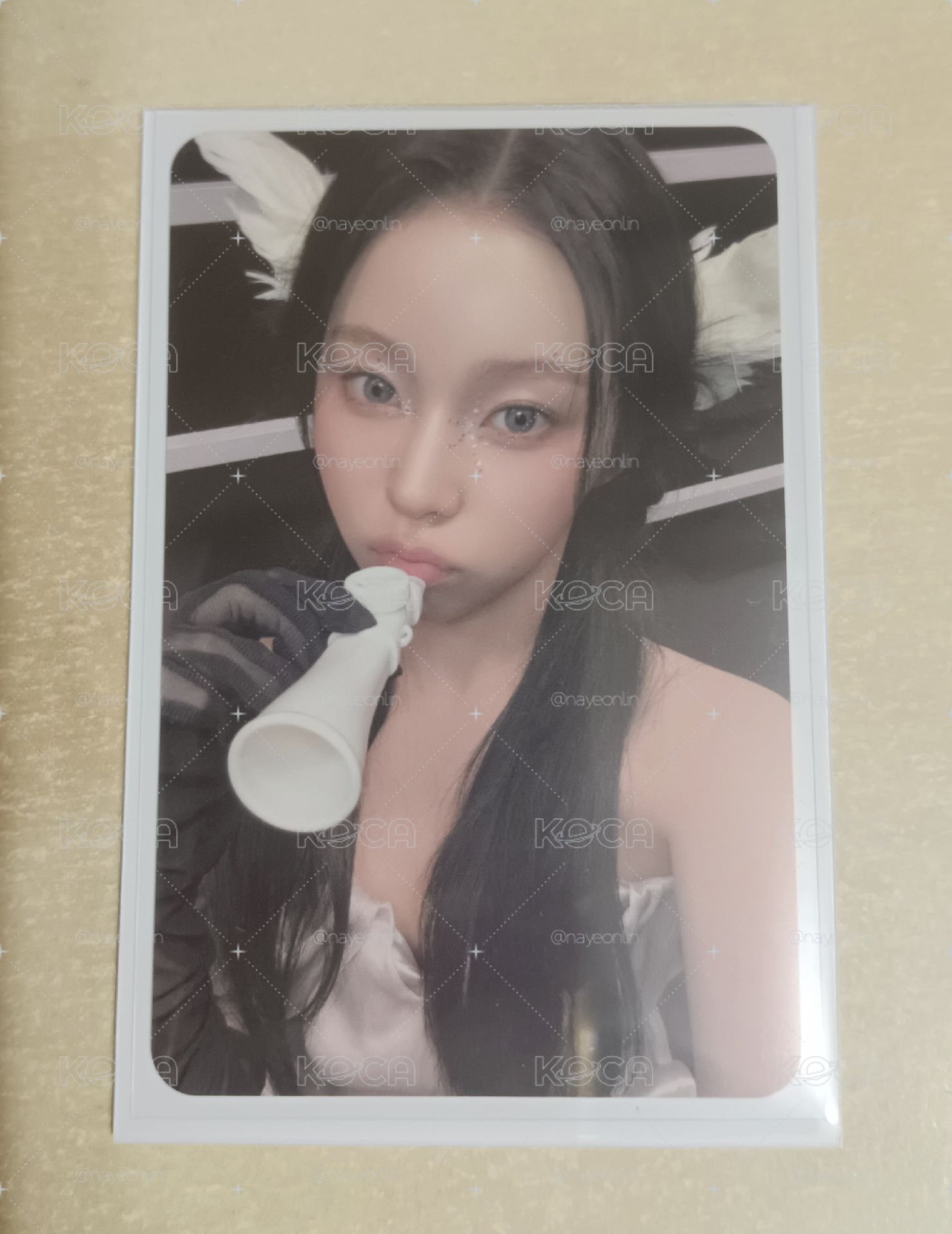 小夜曲專卡圭