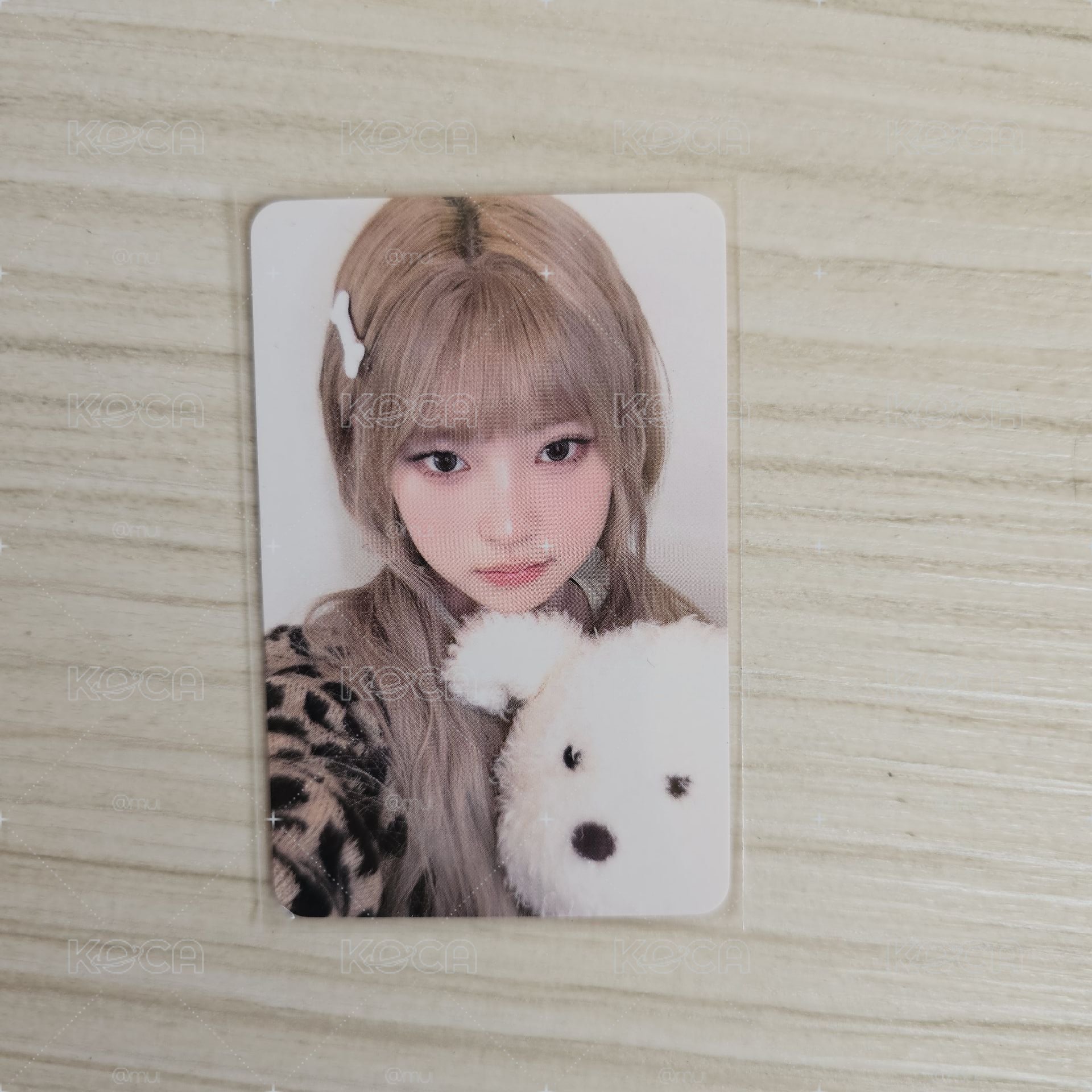 KiiiKiii HL簽售 haum