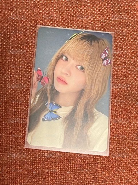 NMIXX好價莉卡🫧