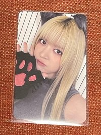 大野狼