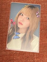 蝴蝶