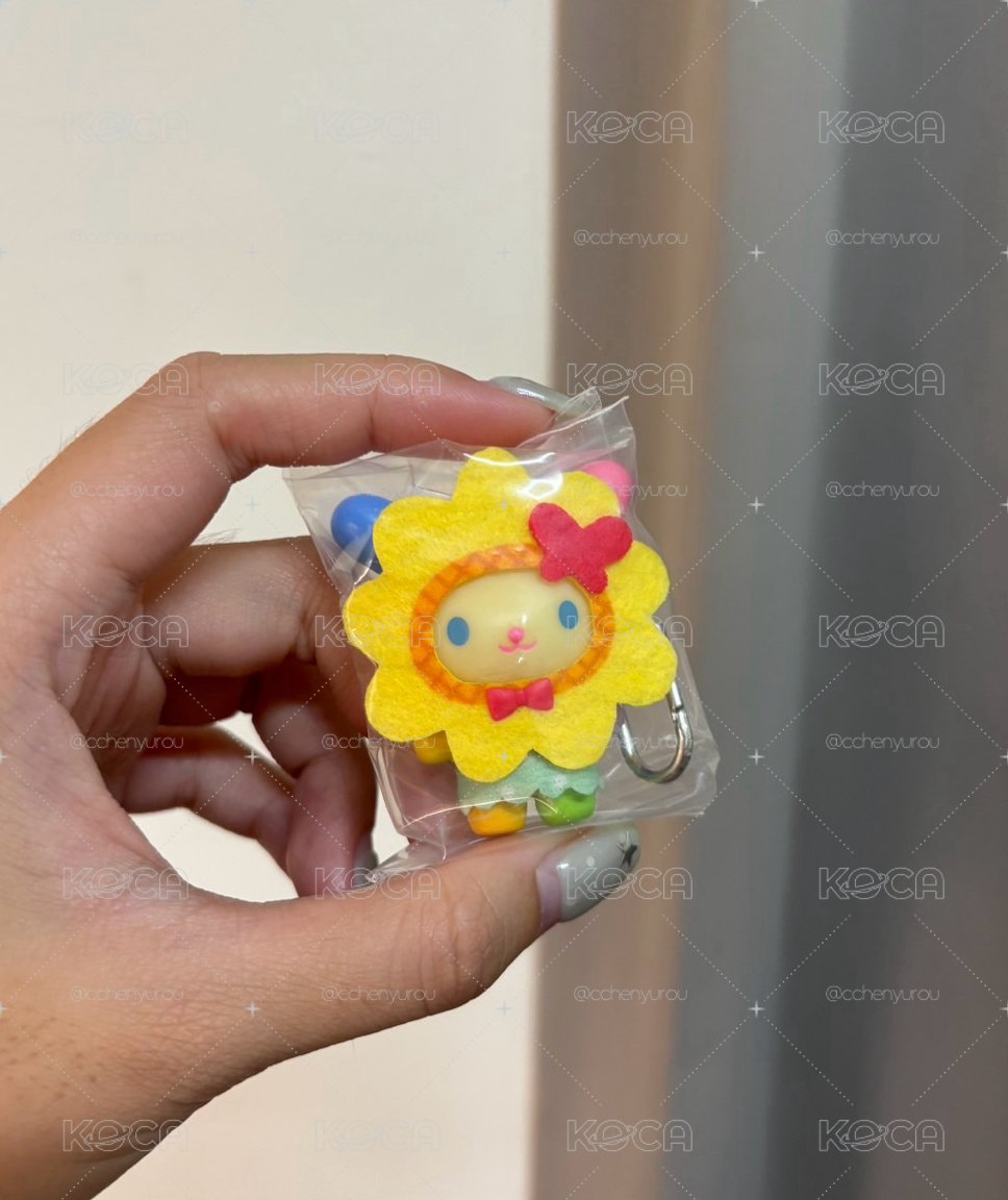 𝐒𝐚𝐧𝐫𝐢𝐨花小兔🌸