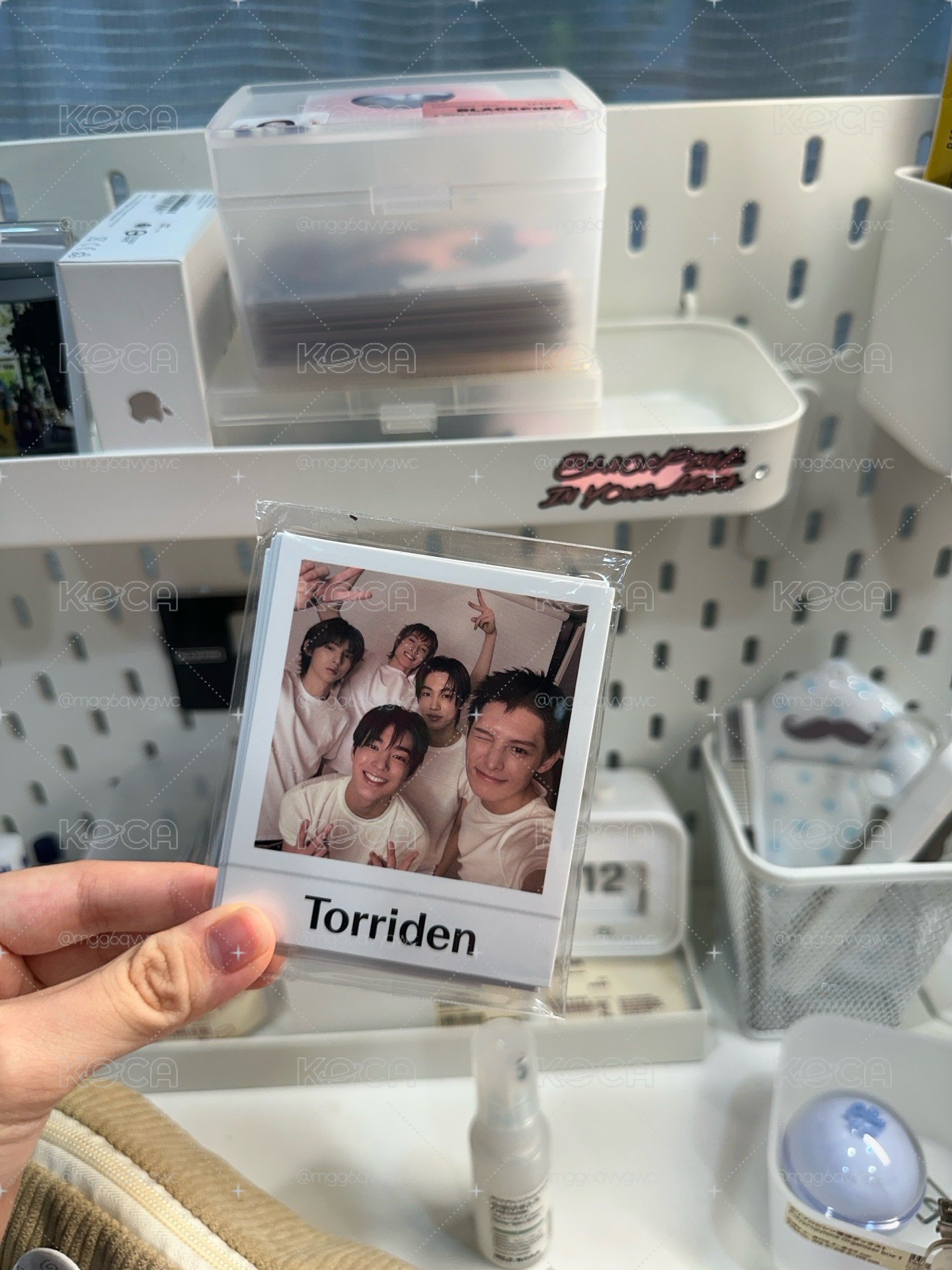 Cortis Torriden拍立得一套