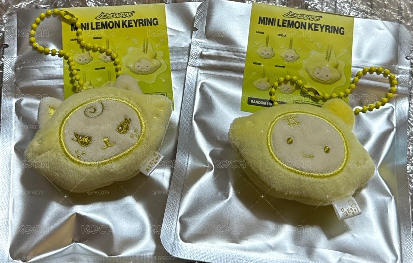 現貨 檸檬娃冬柚