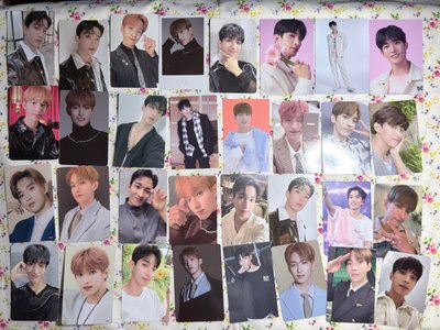 （現貨整圖32張出）seventeen DK 李碩珉 小卡盤 專卡 特典卡 會員禮