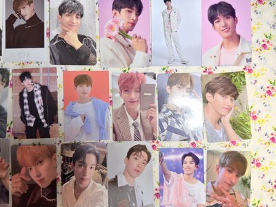 （現貨整圖32張出）seventeen DK 李碩珉 小卡盤 專卡 特典卡 會員禮