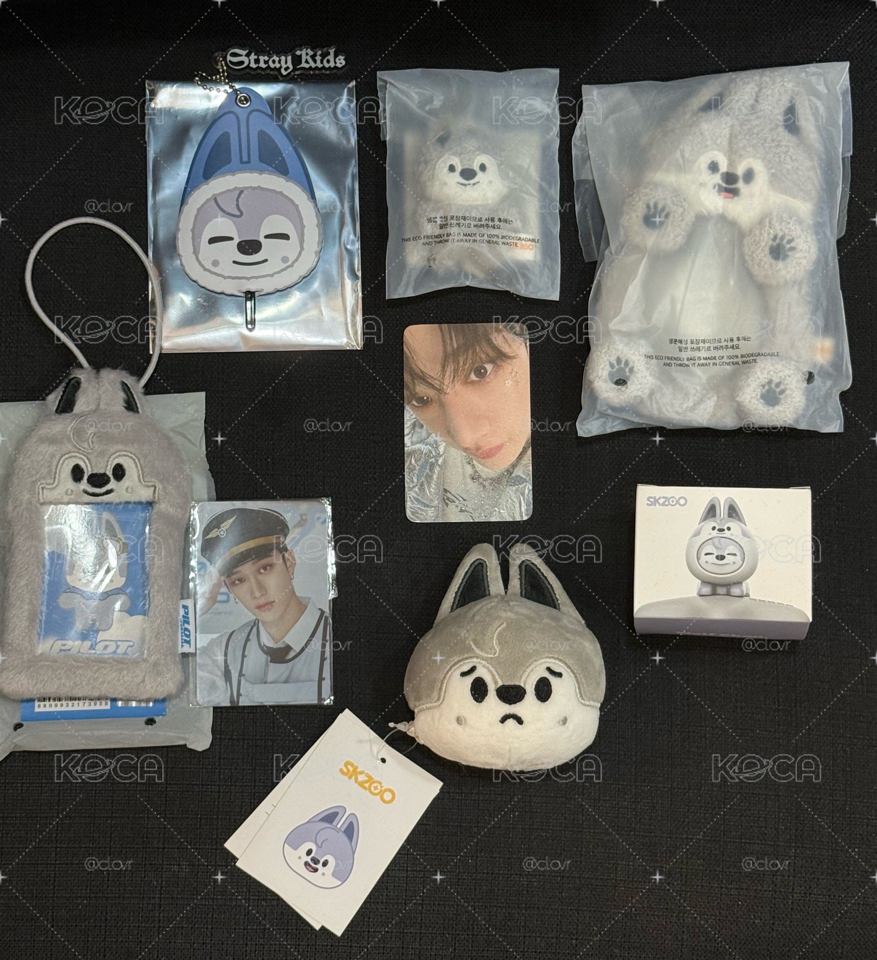 燦Wolf Chan周邊 多全新