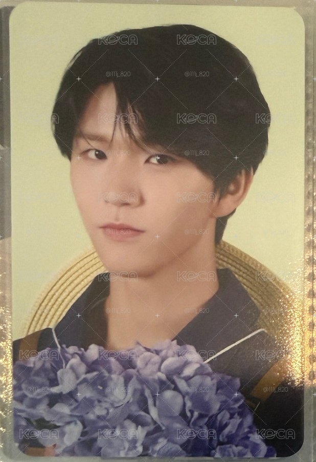 NCTZONE 園丁 周邊卡 官拍