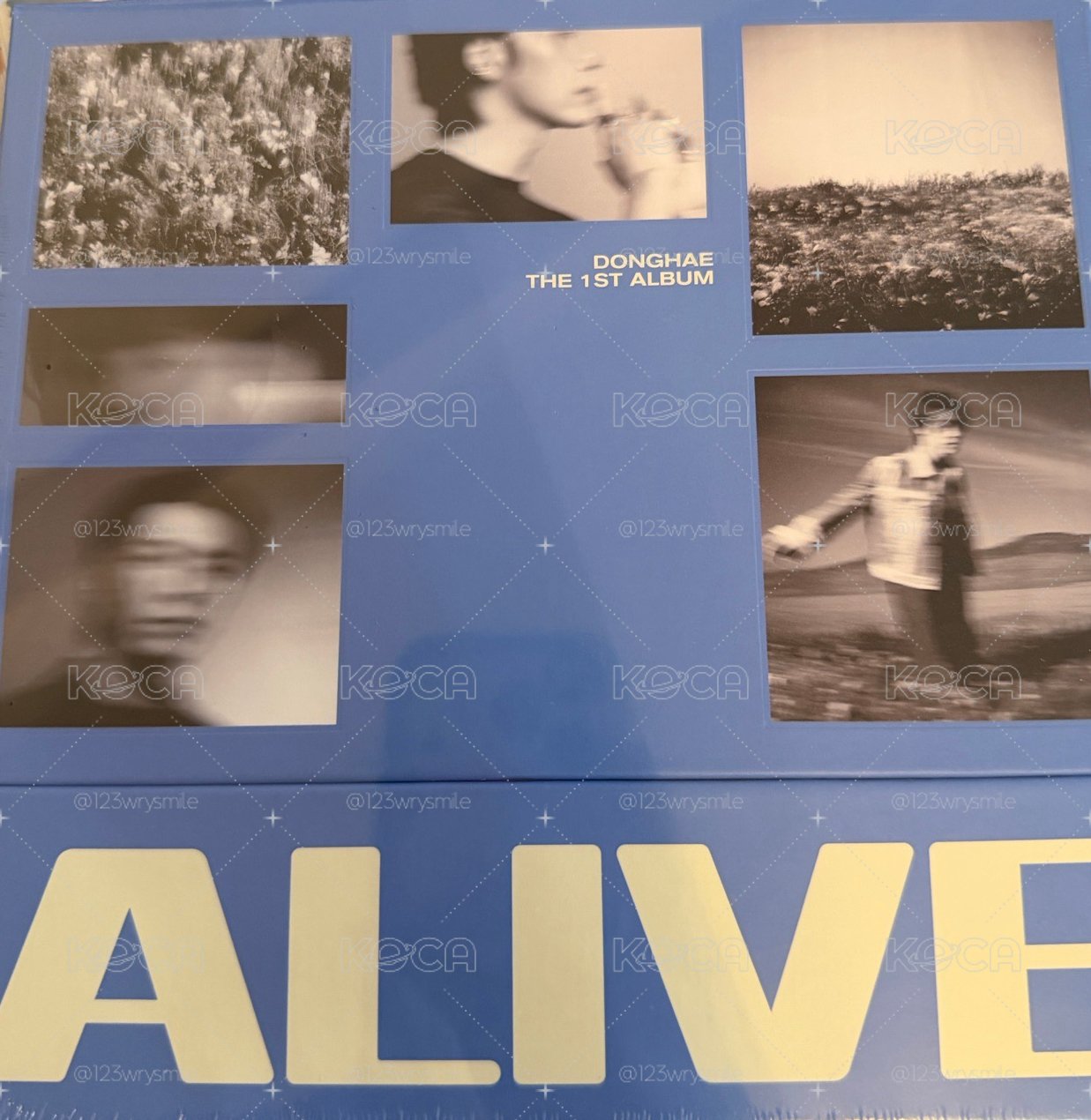 東海Alive 專輯全新未拆