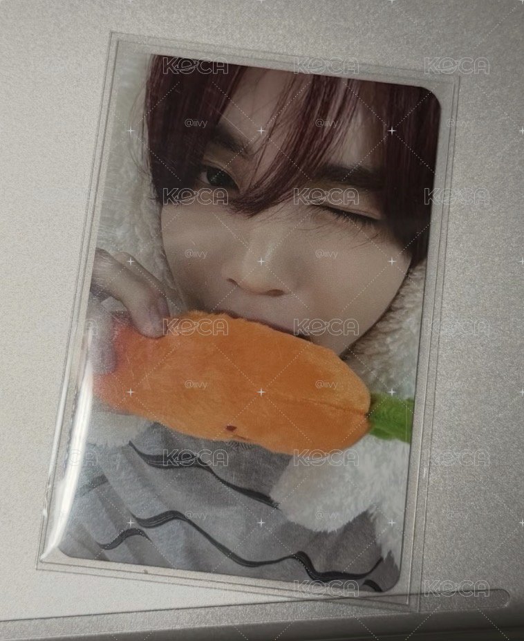 數星星3.0 胡蘿蔔🐰