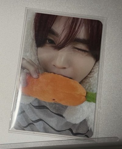 數星星3.0 胡蘿蔔🐰