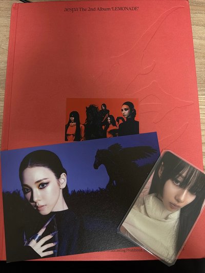 LEMONADE WDA Ver. 專輯 冬小卡柚明信片已拆全專