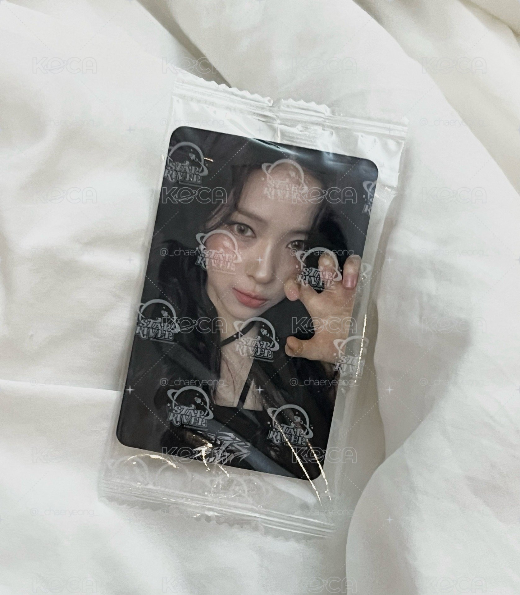 ITZY 貓抓留