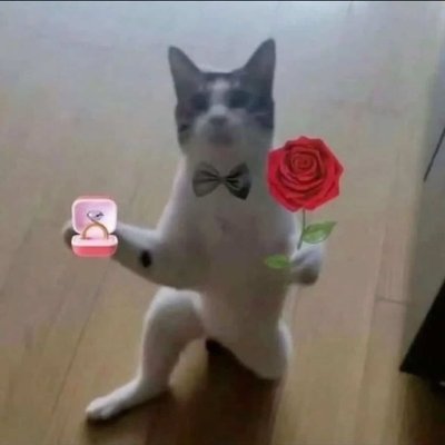 日巡 zone卡 訓