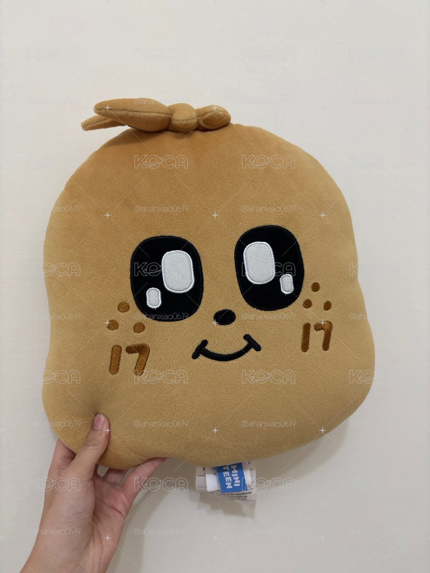 miniteen kimja抱枕